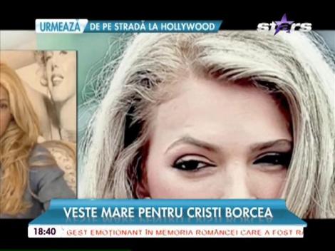 Telenovela divorțului dintre Cristi Borcea şi Alina Vidican pare că se apropie de final