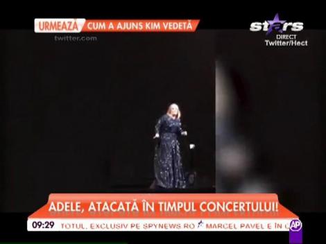 Adele a fost atacată în timpul unui concert.. de un liliac!