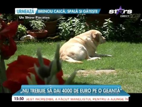 Monica Tatoiu și-a făcut grădină zoologică în vilă