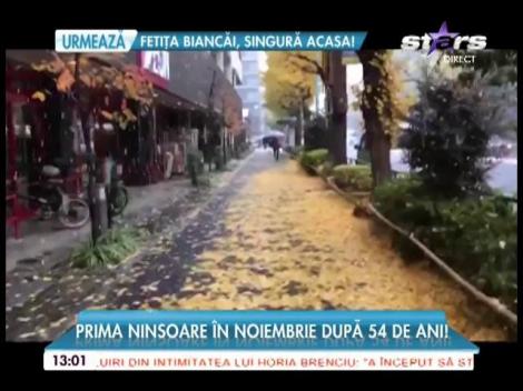 Prima ninsoare din noiembrie în Japonia, după 54 de ani!