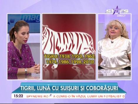 Zodiacul chinezesc. Ultima luna a anului, plină de provocări