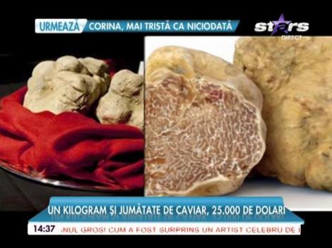 Top cinci cu cele mai scumpe mâncăruri din lume