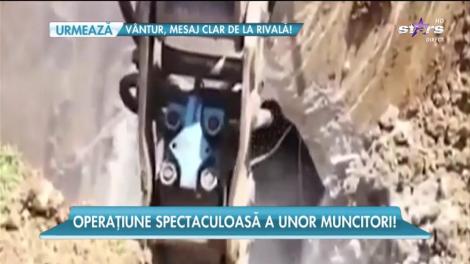 Un urs a fost salvat de la moarte de o echipă de muncitori din Turcia