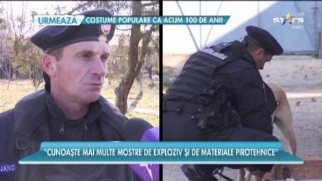 Higgens, de origine americană, lucrează cot la cot cu jandarmii români