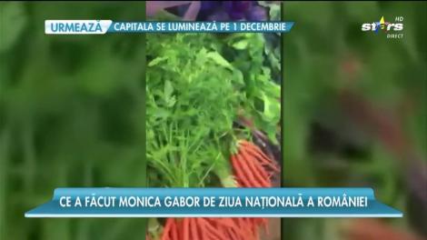 Monica Gabor locuiește în America, dar trăiește românește
