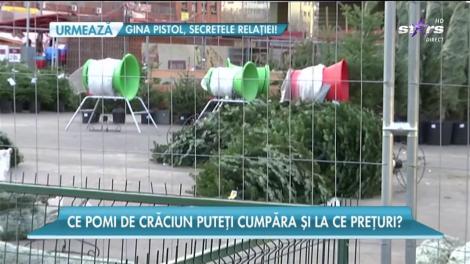 S-a deschis oficial cea mai mare piață de brazi din București!