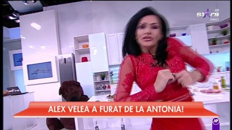 Alex Velea a comis-o rău de tot! Artistul a furat de la Antonia și s-a afișat cu noua „achiziție”! (VIDEO)