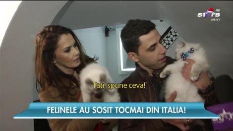 Oana Zăvoranu, în culmea fericirii! Vedeta și-a mărit familia cu două pisicuțe superbe