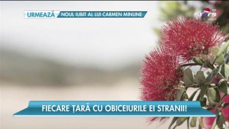 Cele mai bizare obiceiuri de Crăciun