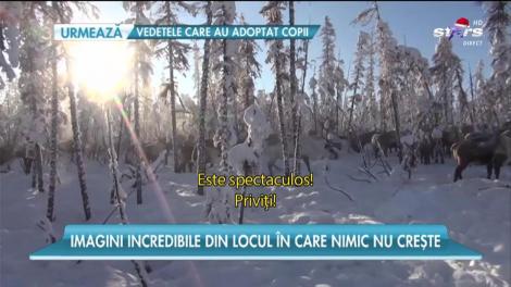 Locuitorii orașului Oymaykon trâiesc la minus 54 de grade