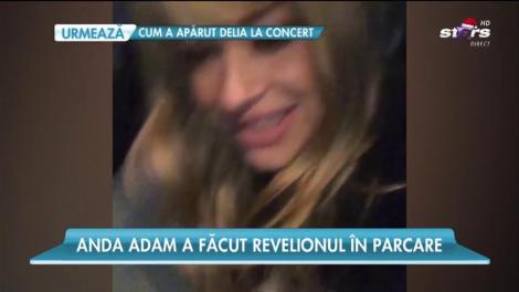 Anul nou i-a găsit pe artiştii noştri pe scenă