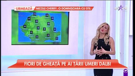 Meteo 07/01/2017. Ger în toată România