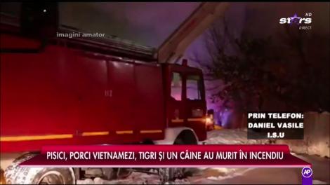 Un garaj plin cu animale a luat foc la Circul Globus