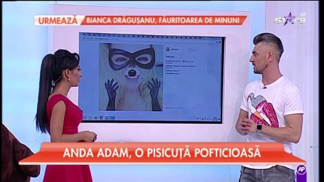 Anda Adam, o pisicuţă pofticioasă!