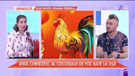 Anul chinezesc al cocoşului de foc bate la uşă! Ce semne ale zodiacului vor fi favorizate?
