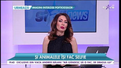 Și animalele își fac selfie