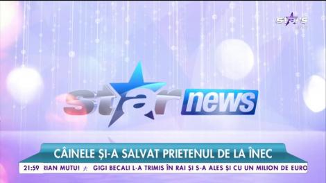 Câine salvat de un alt câine de la înec!