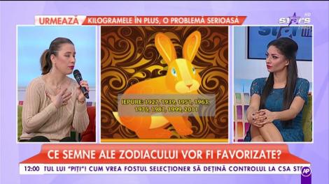 Zodiacul Chinezesc 2017- Iepure