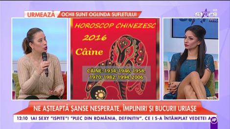 Zodiacul Chinezesc 2017- Câine
