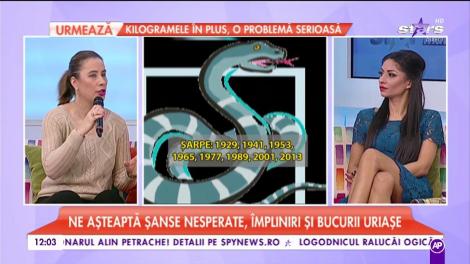 Zodiacul Chinezesc 2017- Şarpele