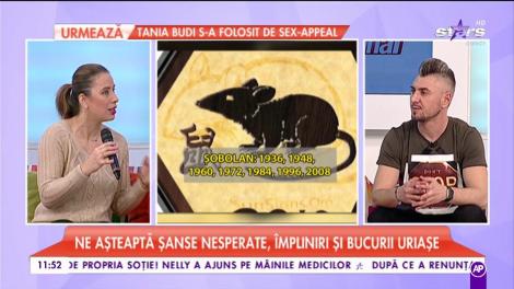 Zodiacul Chinezesc 2017- Șobolanul