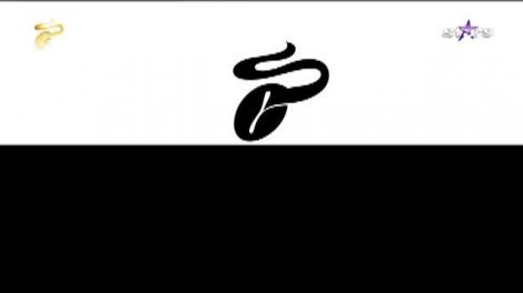 Raluca Dumitru şi Natalia Mateuţ, demonstraţie spectaculoasă de Aerial Yoga &icirc;n direct, la tv