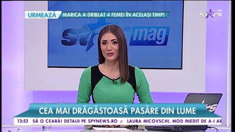 Shoebil, cea mai drăgăstoasă pasăre din lume