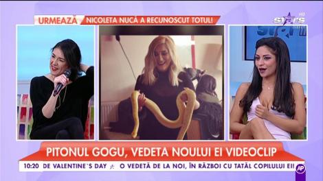 Adda lansat un videoclip neobișnuit: "Am rezistat doar 10 secunde cu pitonul Gogu la filmări"