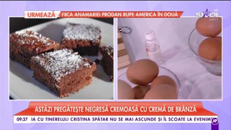 Consumul de cacao menţine sănătatea inimii! Încearcă rețeta de negresă cremoasă cu cremă de brânză