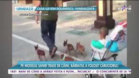 Tatic care isi plimba copilul