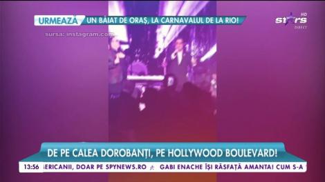 Sexy milionăreasa Lexy, prezentă la decernarea premiilor Oscar