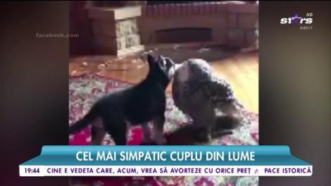 Cel mai simpatic cuplu din lume. Dovada că dragostea depășește orice barieră