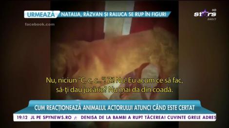 Cum se ceartă Mihai Bendeac. Momentul a fost filmat și a ajuns pe rețelele de socializare!