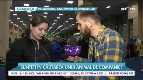 Sunteţi &icirc;n căutarea unui animal de companie?