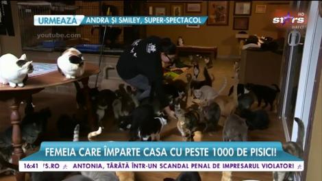 Femeia care împarte casa cu peste 1000 de pisici!