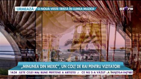 O căsuță dintr-un copac, una dintre cele mai luxoase locuințe din lume!