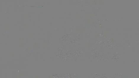 La mulţi ani, Andreea Berecleanu! Cea mai frumoasă prezentatoare de ştiri, interviu special: "Totul a fost copleşitor"