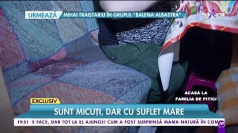 Acasă la cea mai cunoscută familie de pitici. Și-au tăiat patul și folosesc scărița să ajungă la chiuvetă
