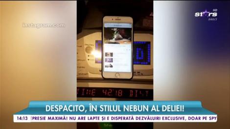 Despacito, în stilul nebunatic al Deliei: "Să ridice mâna sus maneliștii  la... la latino!" Un cover deliric, nu alta!