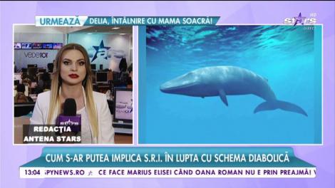 "Balena albastră" pune pe jar autoritățile! Măsuri fără precedent luate în România!