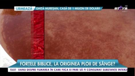 Fenomen straniu în nord-vestul Spaniei! Forţele biblice, la originea ploii de sânge?