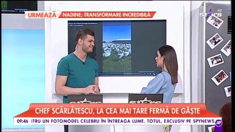 Chef Scărlătescu a ajuns la...fermă! Juratul a avut parte de o surpriză uriașă!