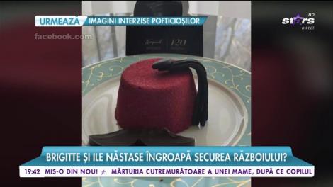 Brigitte şi Ilie Năstase îngroapă securea războiului?