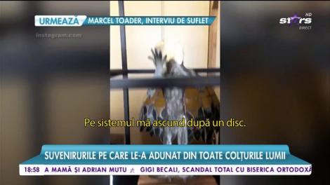 Delia nu &icirc;ncetează să ne uimească! Artista are o armată de cățeluși, care mai de care mai colorat și mai ciudat. &Icirc;nsă jurata de la iUmor &icirc;i iubește așa cum sunt