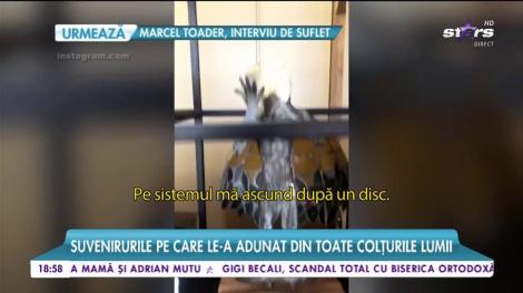 Delia nu încetează să ne uimească! Artista are o armată de cățeluși, care mai de care mai colorat și mai ciudat. Însă jurata de la iUmor îi iubește așa cum sunt