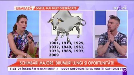 Previziunile Zodiacului Chinezesc. Schimbări majore, drumuri lungi și oportunități