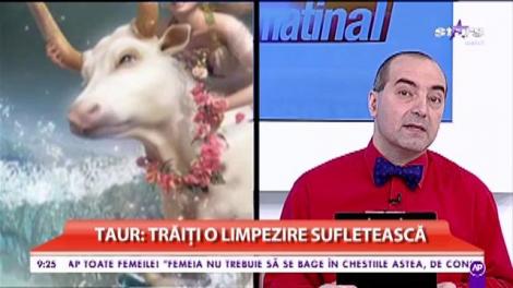 Horoscopul zilei 16/04/2017. Gemenii se împacă cu un prieten