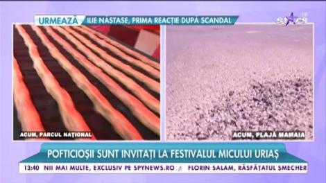 Bucureştenii pot mânca bine în parcurile din capitală