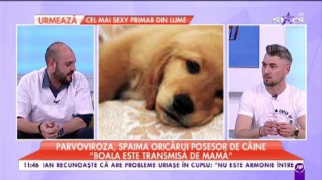 Parvoviroza, o boală care atacă sistemul digestiv al c&acirc;inilor