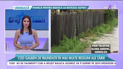 Ploile torenţiale şi inundaţiile au făcut prăpăd!